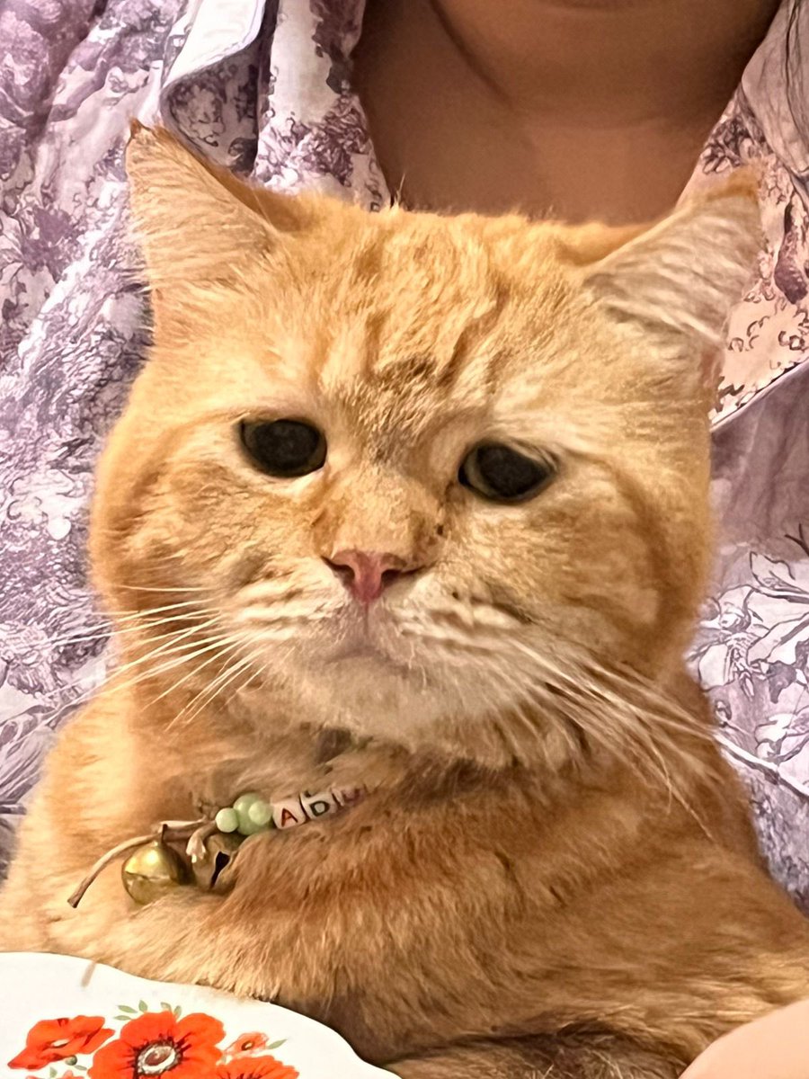 SAHRUL SAHRUL SAHRUL SAHRULLLLLLLLL DAY 1😎☝️