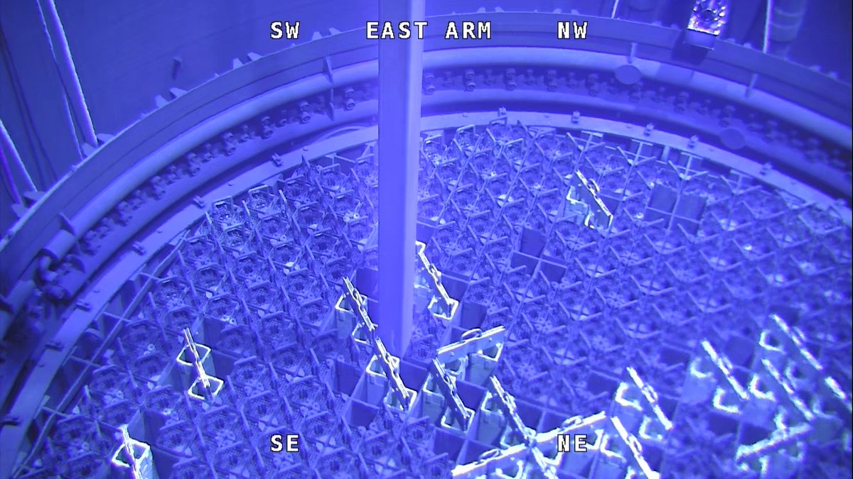 Constellation tweet media