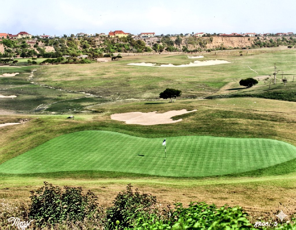 Hainesy76's tweet photo. Looking forward to seeing Riviera again this week - seen here in the late 1920's👊 https://t.co/TzXKxTJdkc
