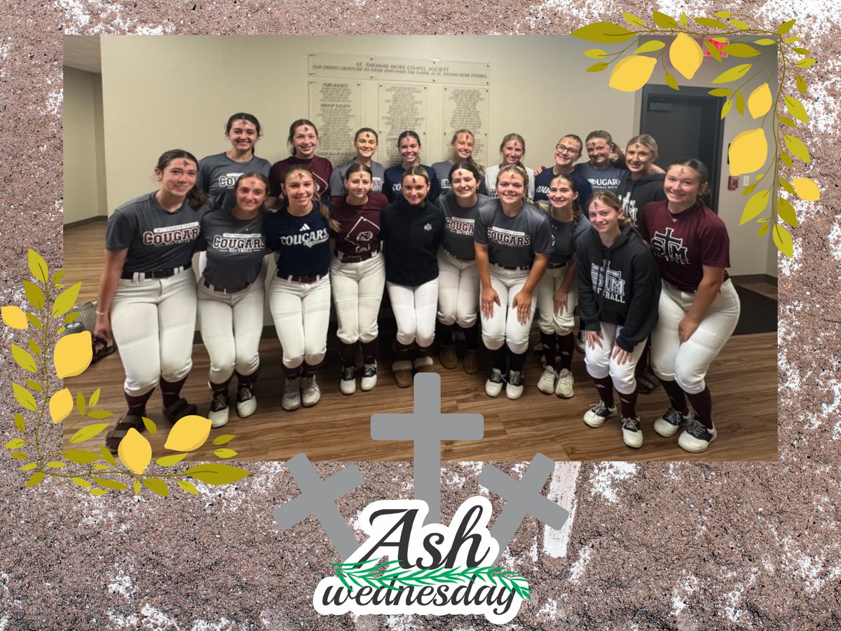 STM SOFTBALL tweet media