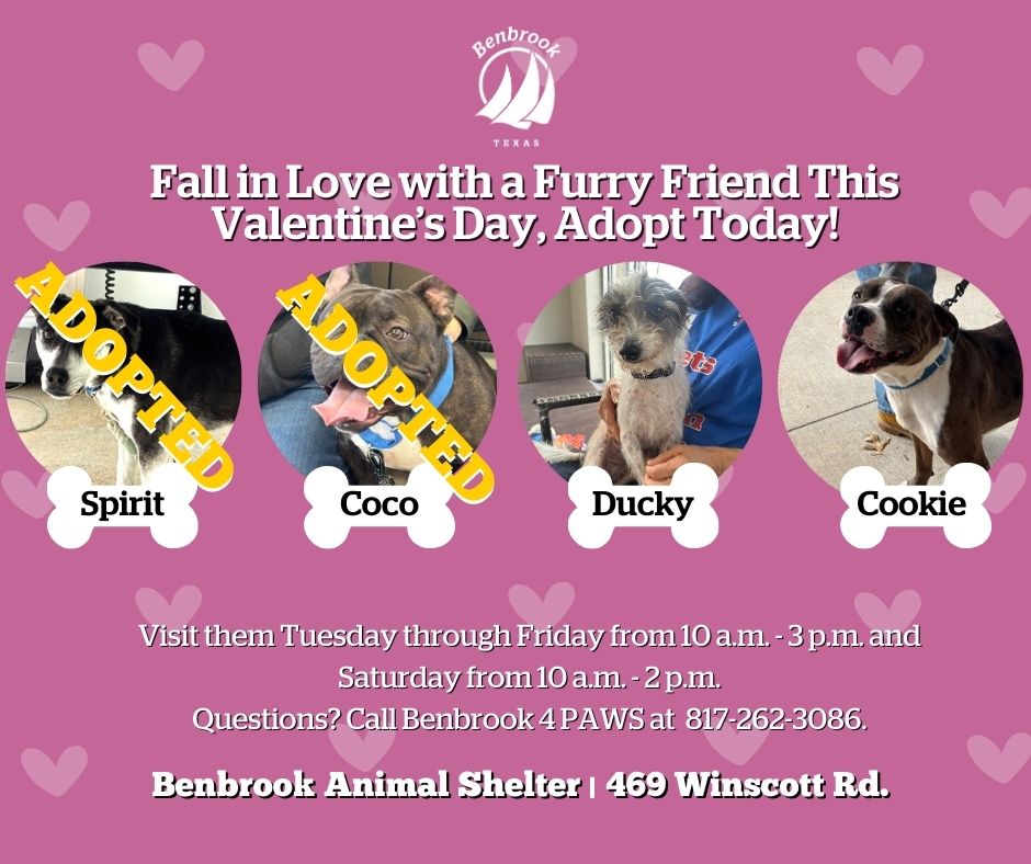 City of Benbrook, TX tweet media