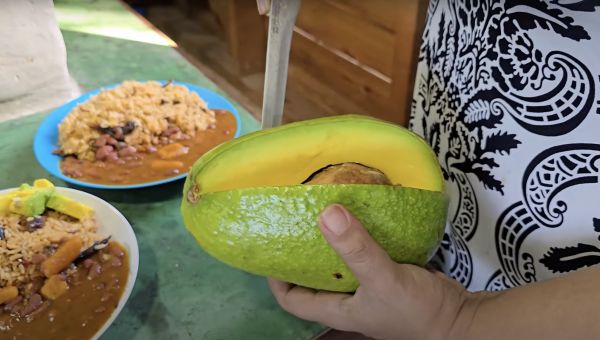 remolacha's tweet photo. Lo que la ciencia reconfirma sobre los beneficios del aguacate  https://t.co/oCmfFzuv7E https://t.co/nAr2HJSL8k