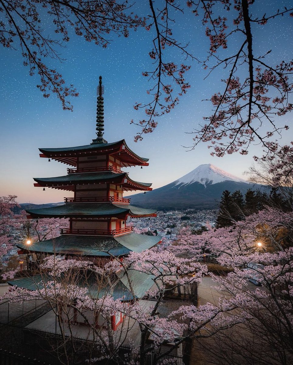 Spring in Japan. 🌸