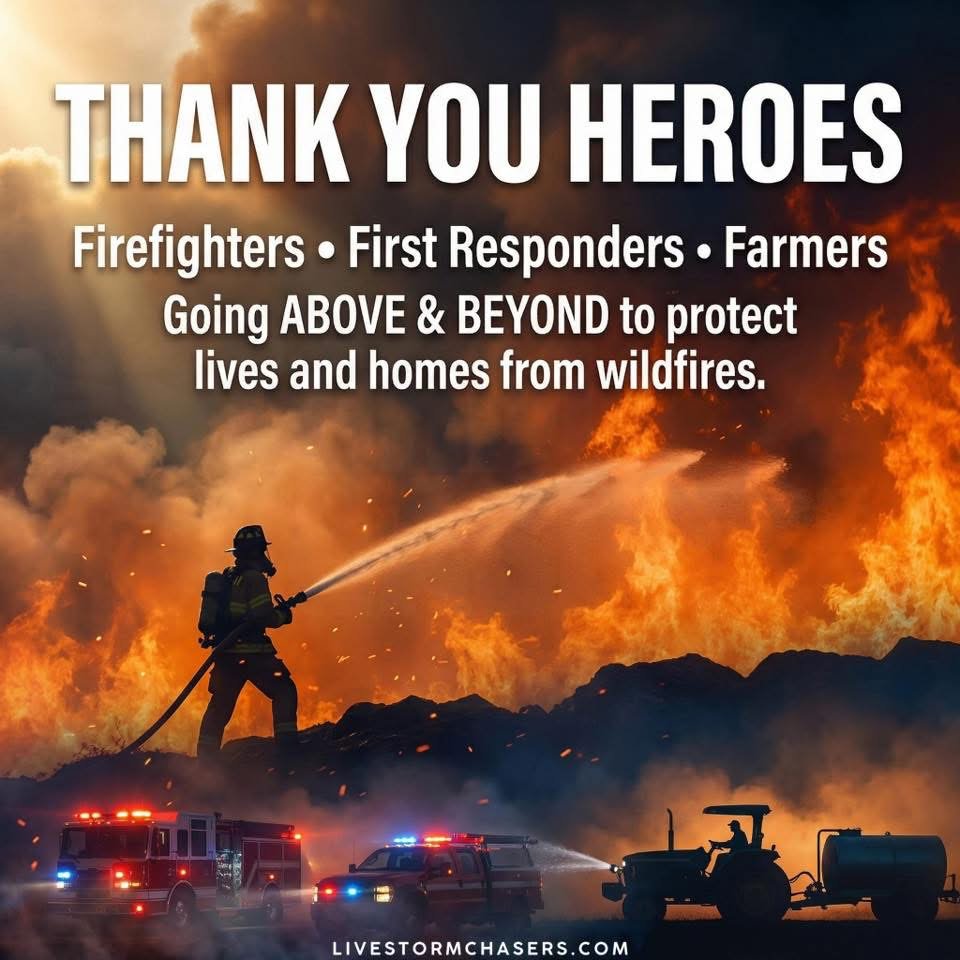 i_Do11face tweet media