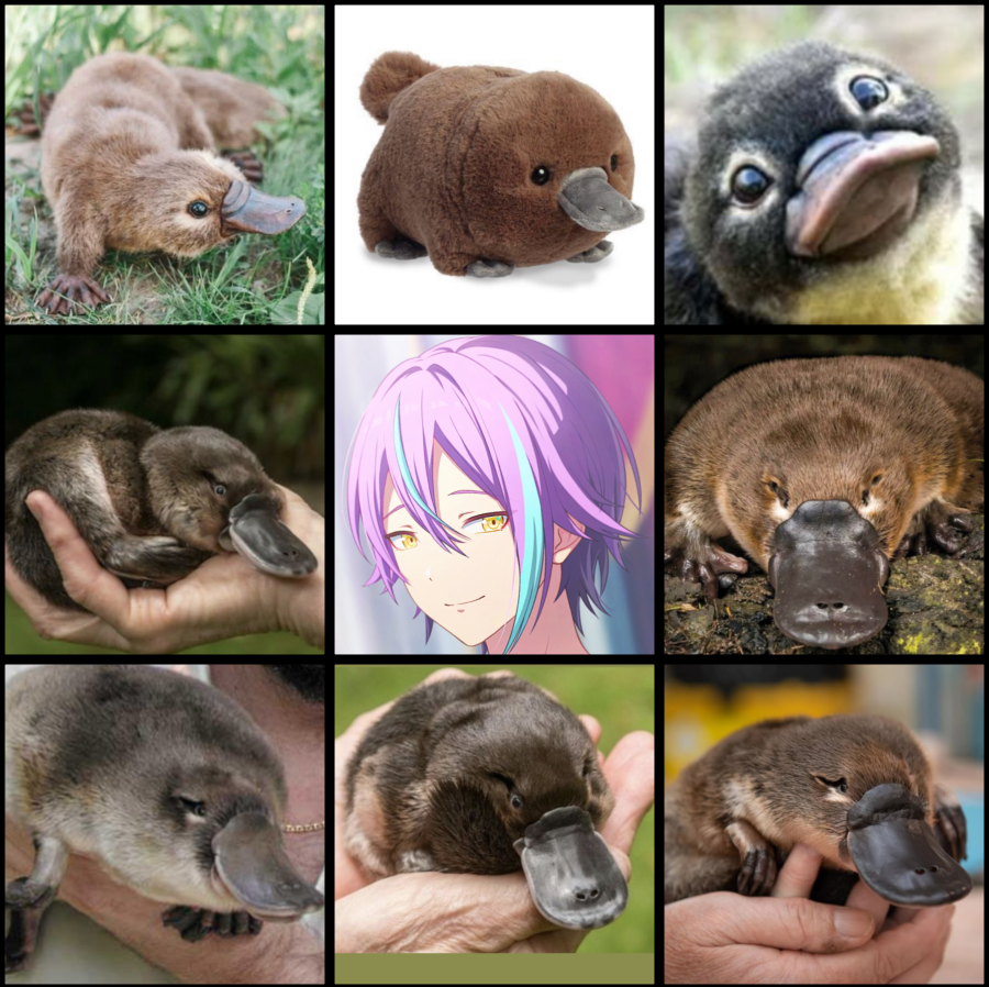 my rui variants. this is rui ok ?