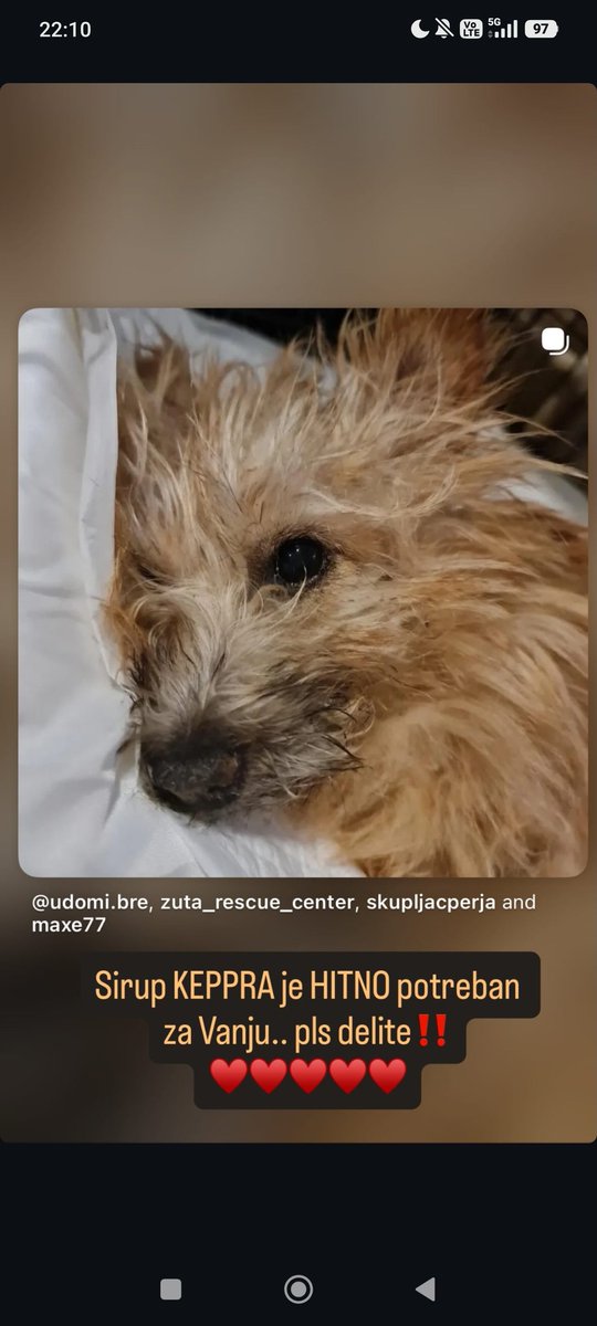 sanjazivi's tweet image. Hitno potreban lek