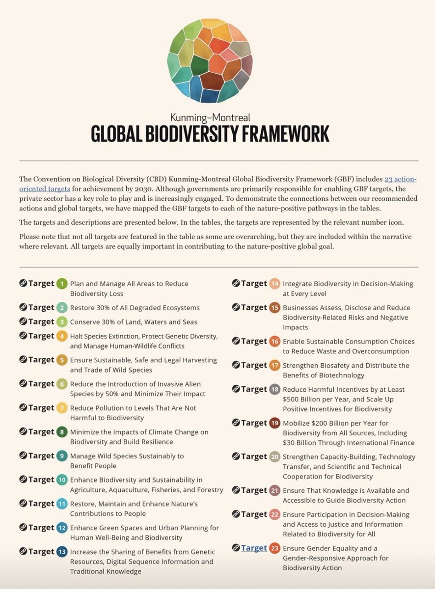 Mayiani  Saino™ (@mayianis) on Twitter photo 