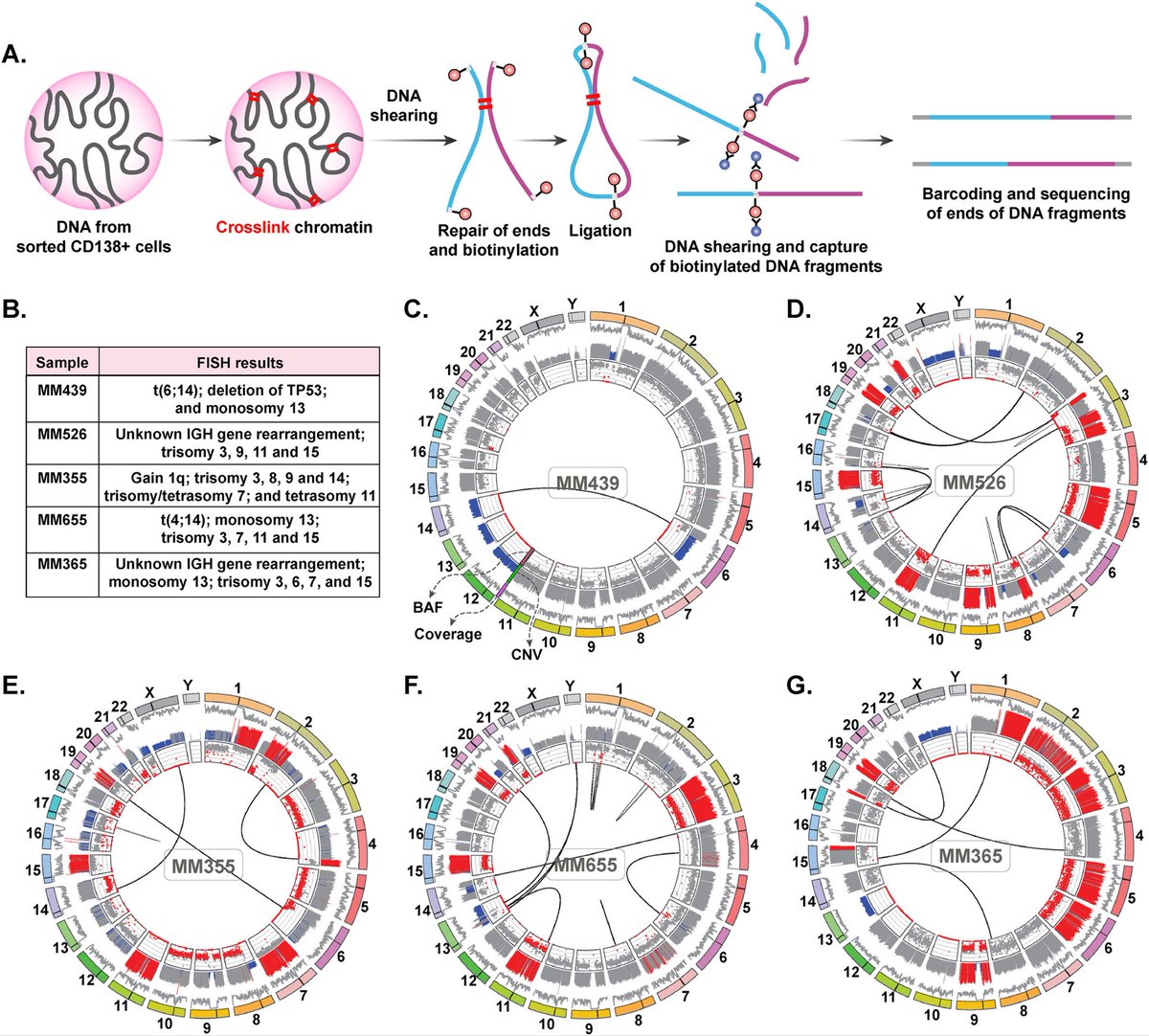 Akhilesh Pandey Lab tweet media