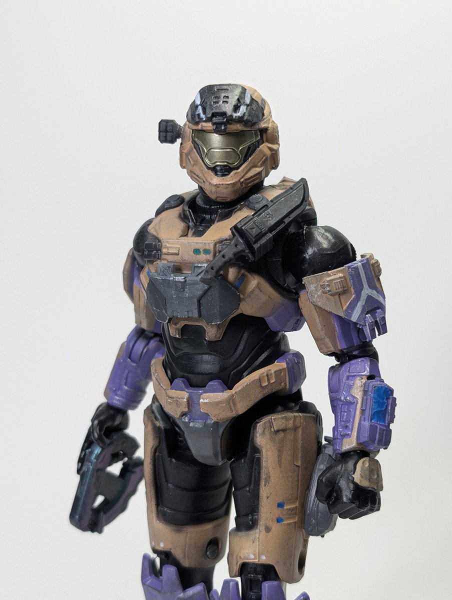 HOIDA247 ➡️Halo Fest?? tweet media