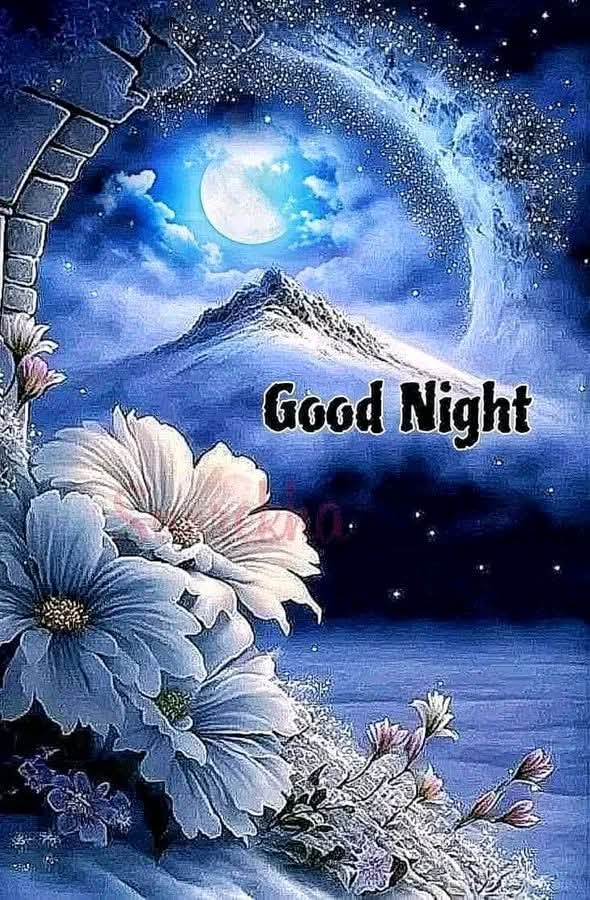 Diku Kaci (@dikukaci) on Twitter photo 