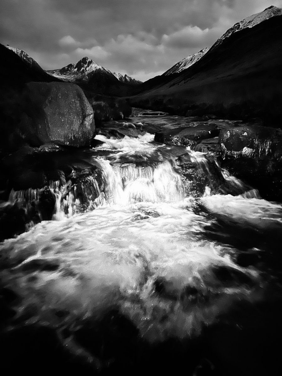 findlaynapier tweet media