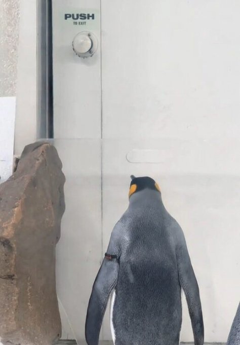 Crypto Acting tweet media