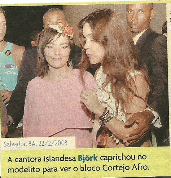 acervö björk tweet media