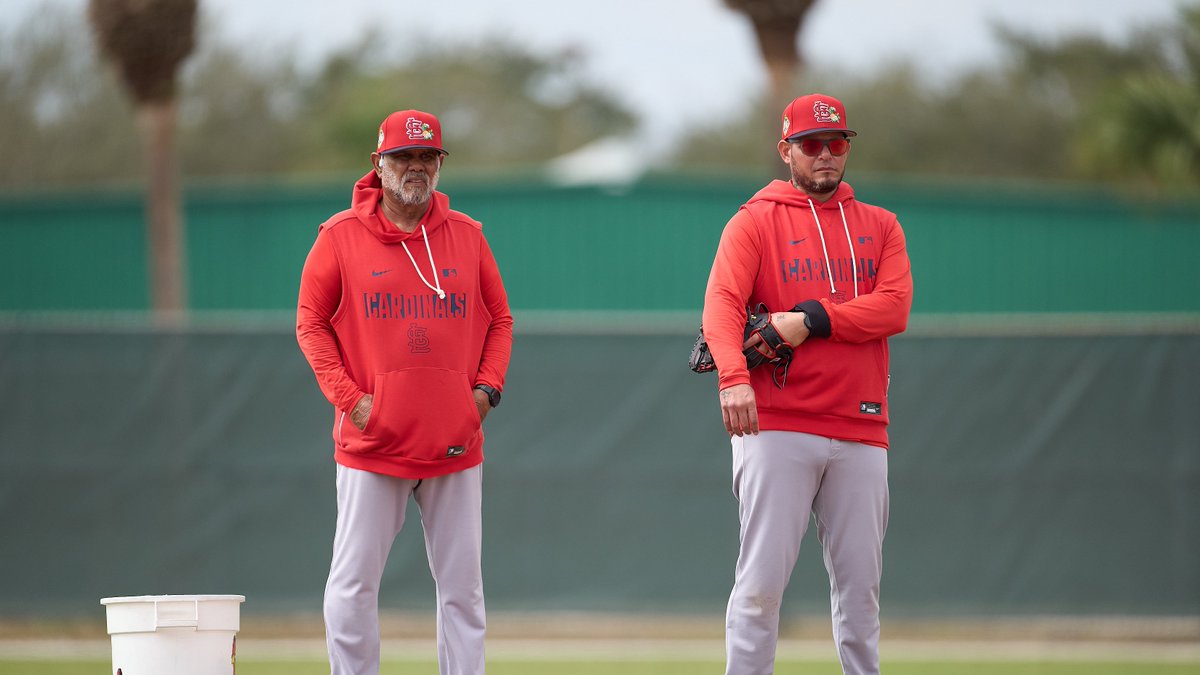 St. Louis Cardinals tweet media