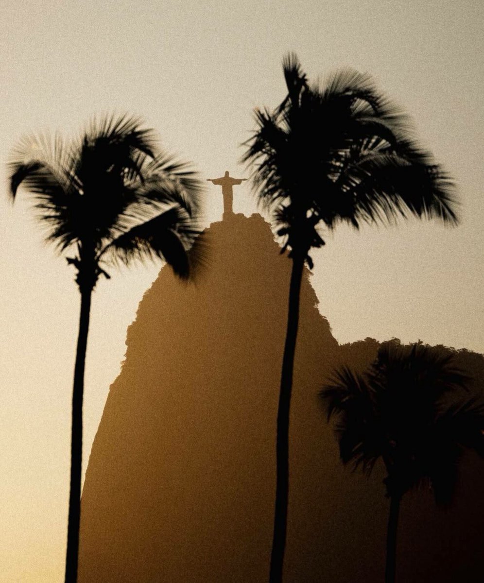 Libs on Social 🫂 (@libsonsocial) on Twitter photo 