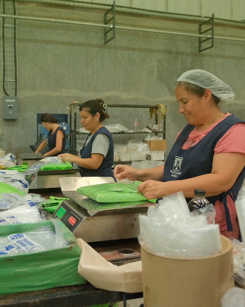 Inboplast tweet media