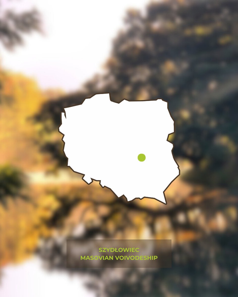 Tree of the Year tweet media