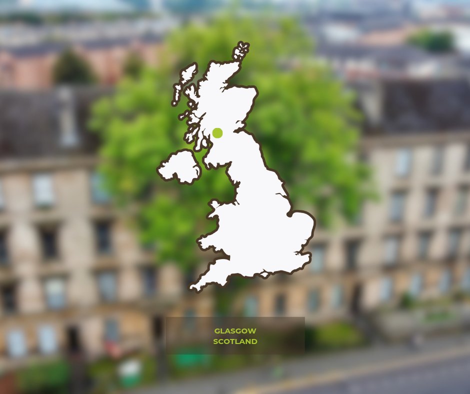 Tree of the Year tweet media