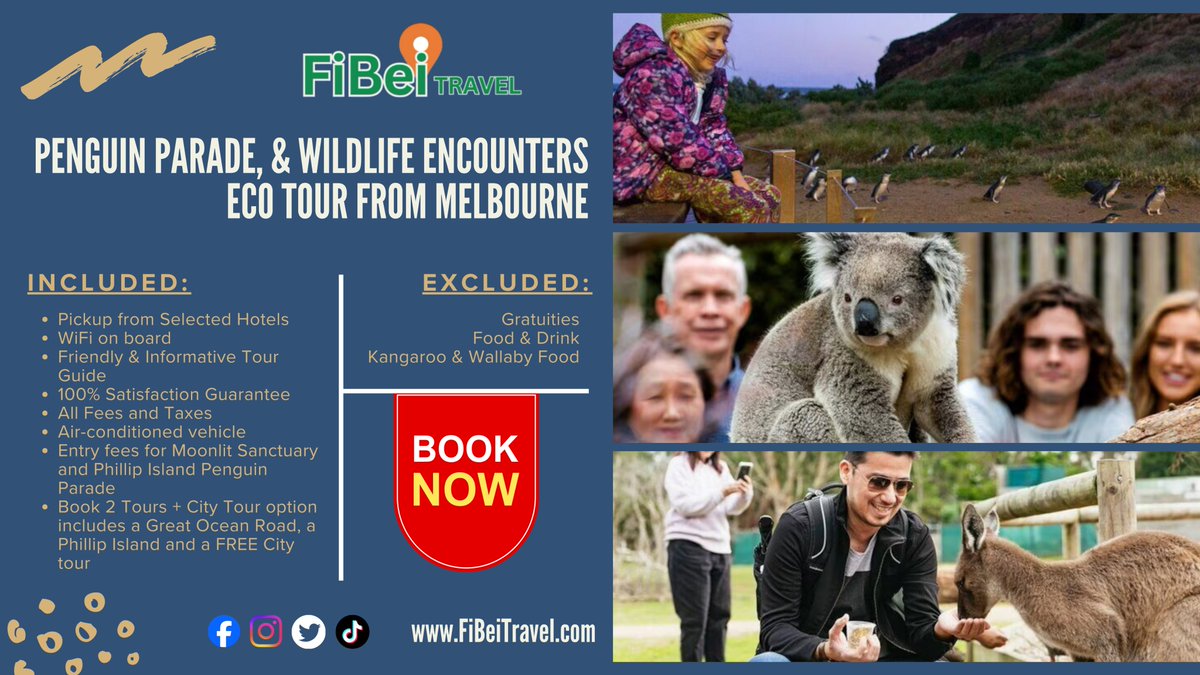 FiBeiTravel's tweet photo. https://t.co/R20VEFsEip | Post-Valentine’s Adventure 💞
Looking for what’s next after Valentine’s? 🇦🇺 Explore Melbourne, Phillip Island, and wildlife sanctuaries with a fully guided, worry-free experience. Perfect for couples ✨
📩 Message us now to inquire!
#PostValentines https://t.co/xQaWkPjjRz