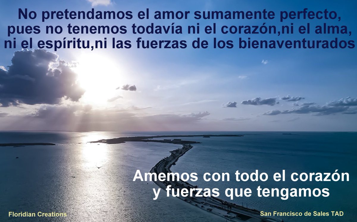 S.Francisco Sales tweet media