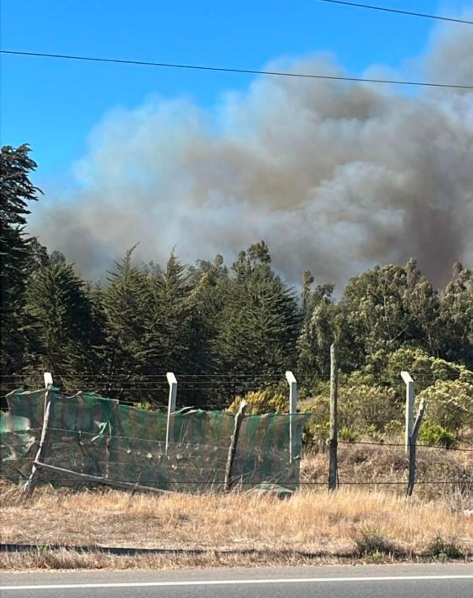 Diego López tweet media