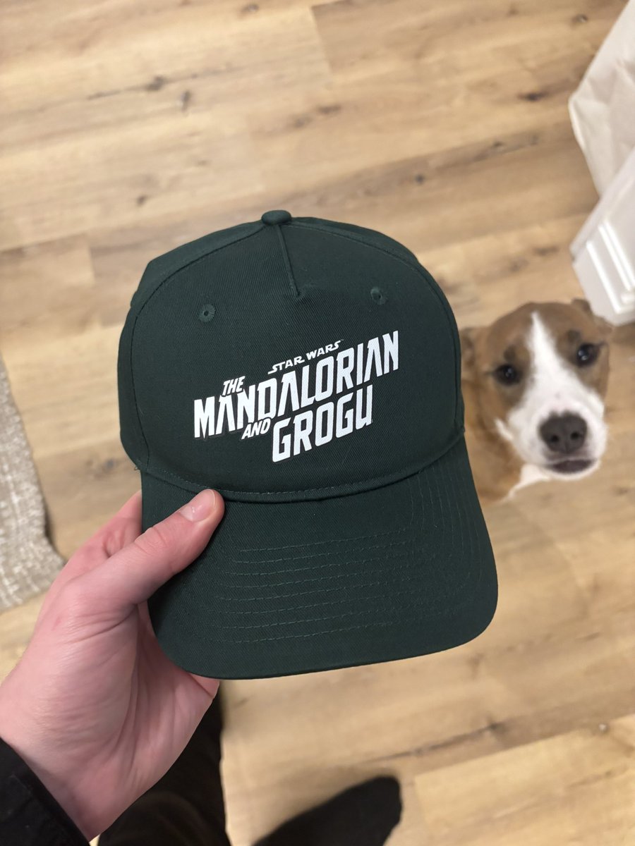 Robbie Fox tweet media