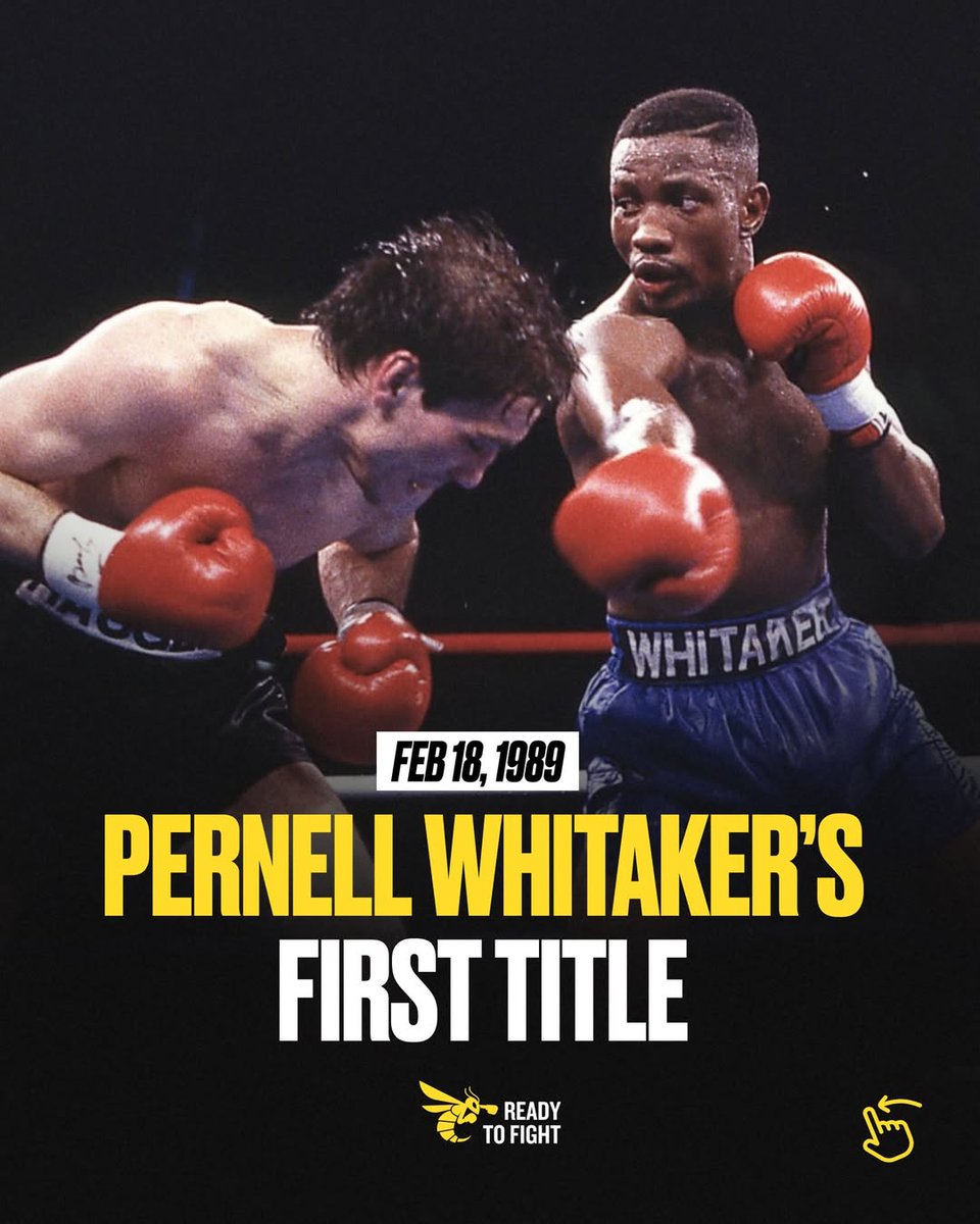 RTFight_Boxing tweet media