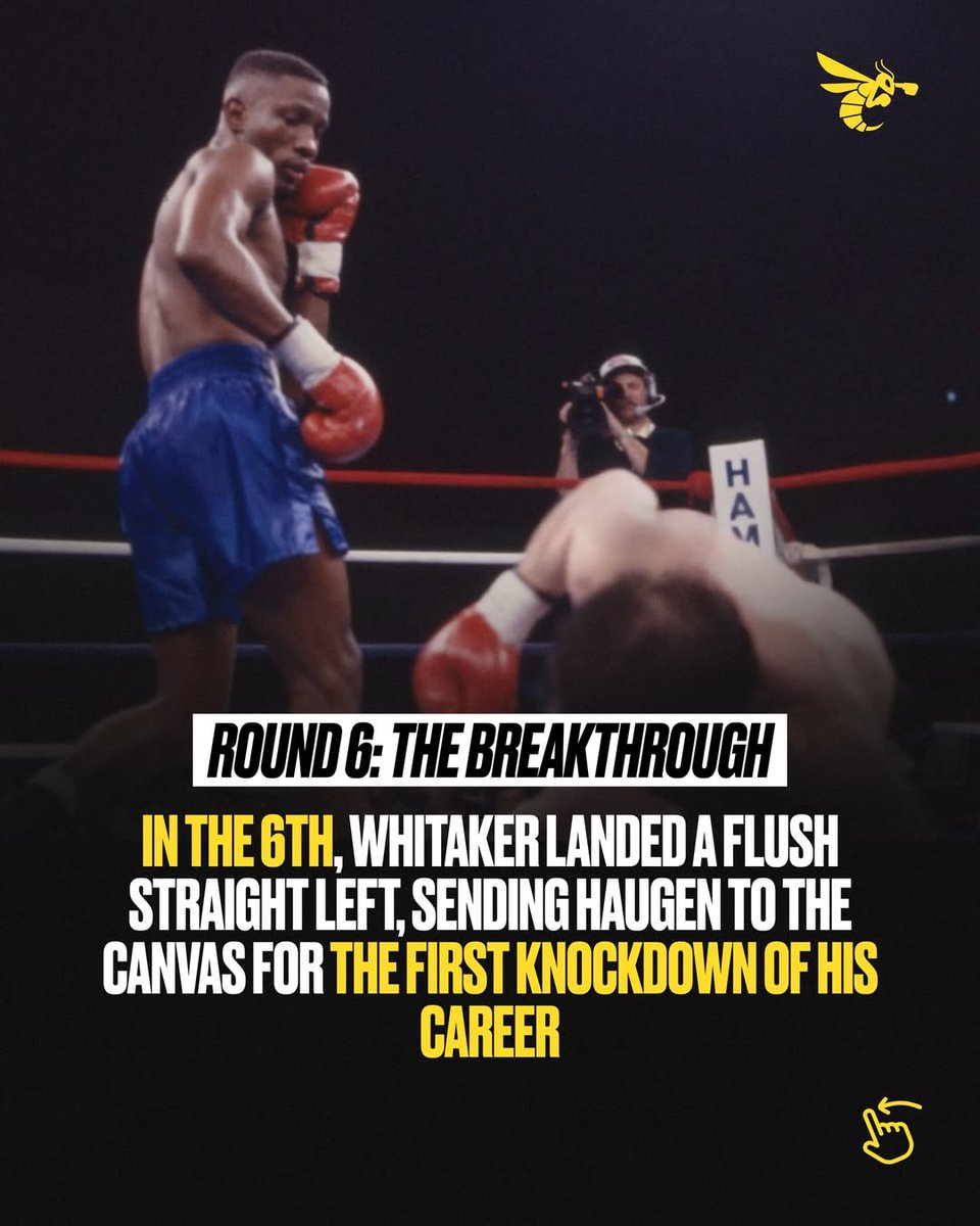 RTFight_Boxing tweet media