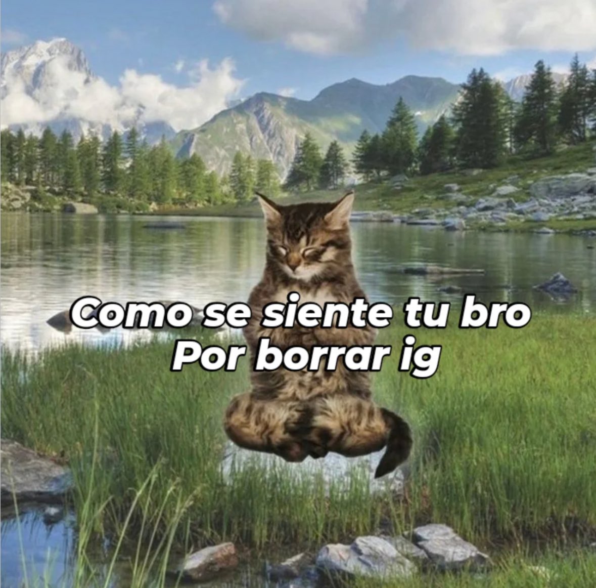 memes feos yo qué sé (@memefeos) on Twitter photo 