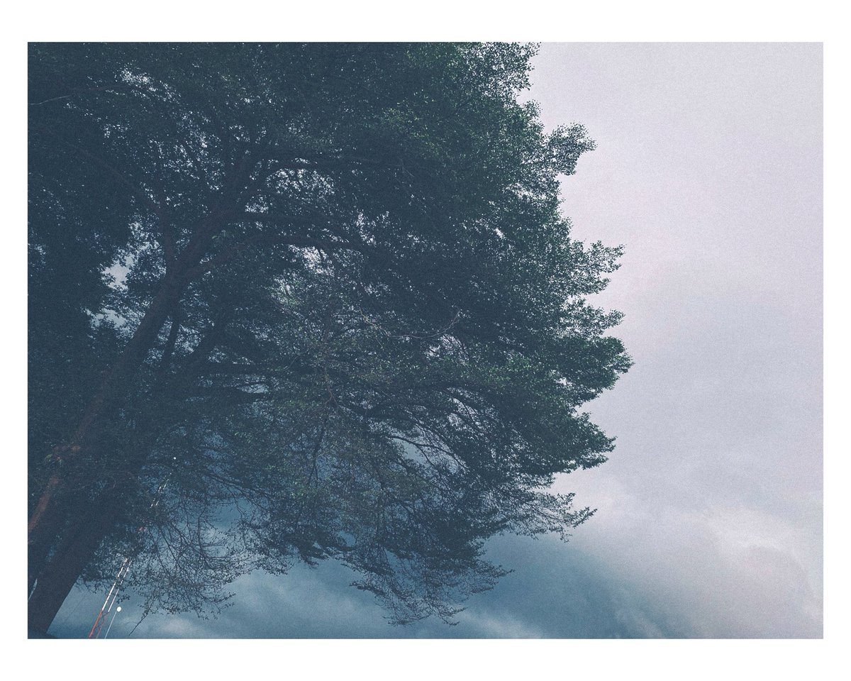 PreciousW40186's tweet photo. Stop scrolling. 🌫️

Same tree.
3 different moods.

Beginner photographer learning that light changes everything.

Which frame wins — 1, 2 or 3? 👀

🔁 RT | 💬 Reply | 📌 Follow the journey

#Photography #BeginnerPhotographer #MoodyShots #VisualStorytelling https://t.co/63NN29mjVx