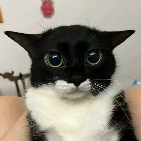 Grace | Semi-Hiatus tweet media