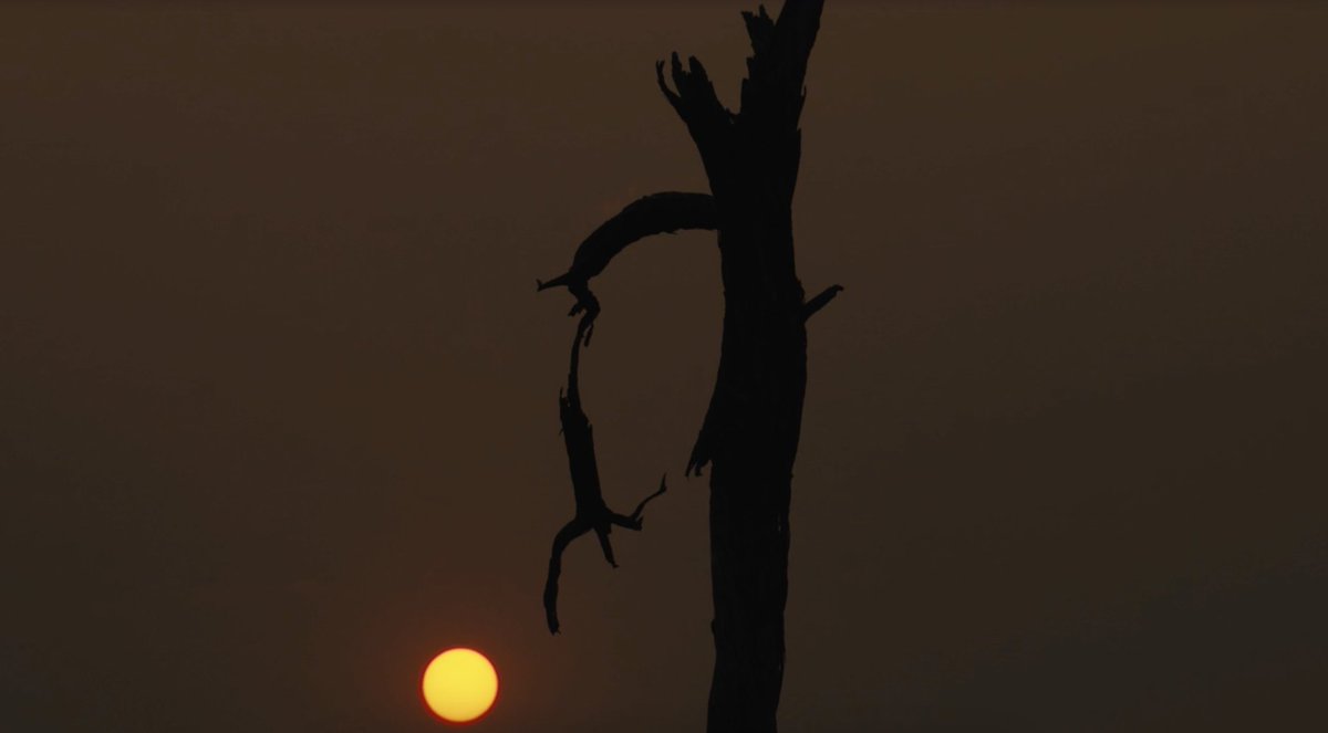 GDR_Films tweet media