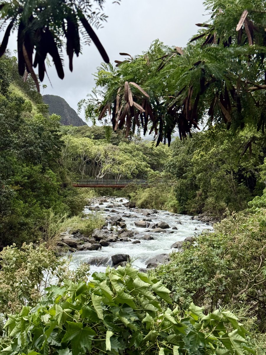 Jaylene🐰 tweet media