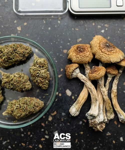 ACS Laboratory tweet media