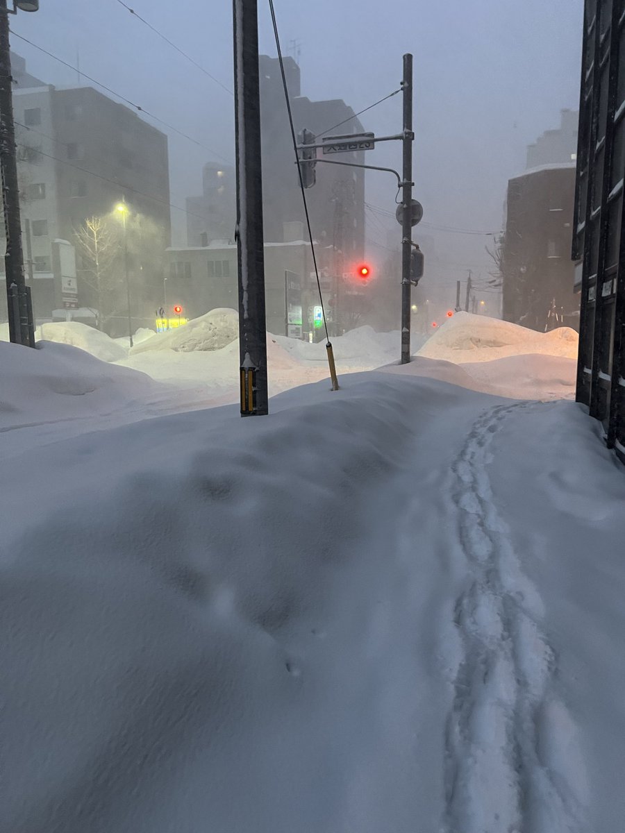 雪がヤバい

初めての体験だけど、帰れるかな…