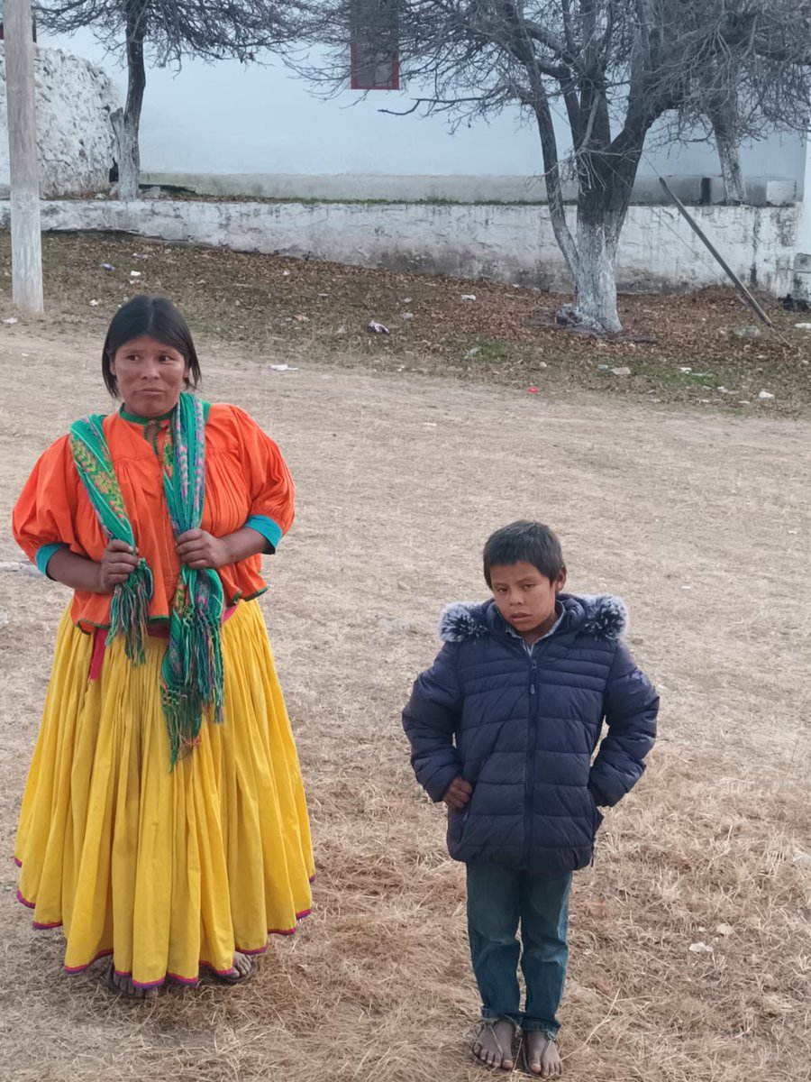 Mira 👀 <a href="/Claudiashein/">Claudia Sheinbaum Pardo</a>  la comunidad rarámuri en la sierra #Tarahumara es súper pobre, comen 1 vez al día y están felices porque gracias a unos mexicanos trabajadores de bien,
recibieron estas chamarras para enfrentar el clima gélido ❄️de la zona! 

Ellos, son mexicanos!! 
🙌🏻🇲🇽♥️