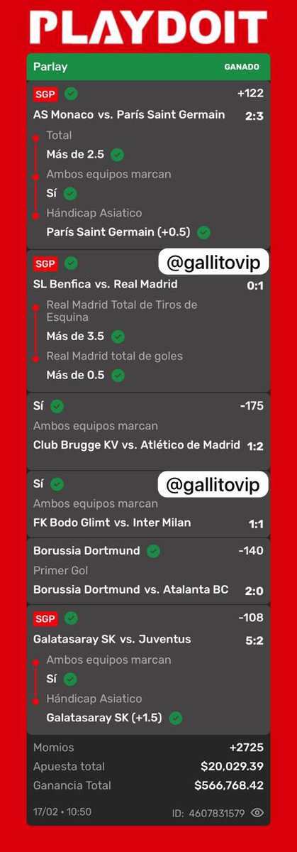 Gallito🐓(Apuestas) tweet media