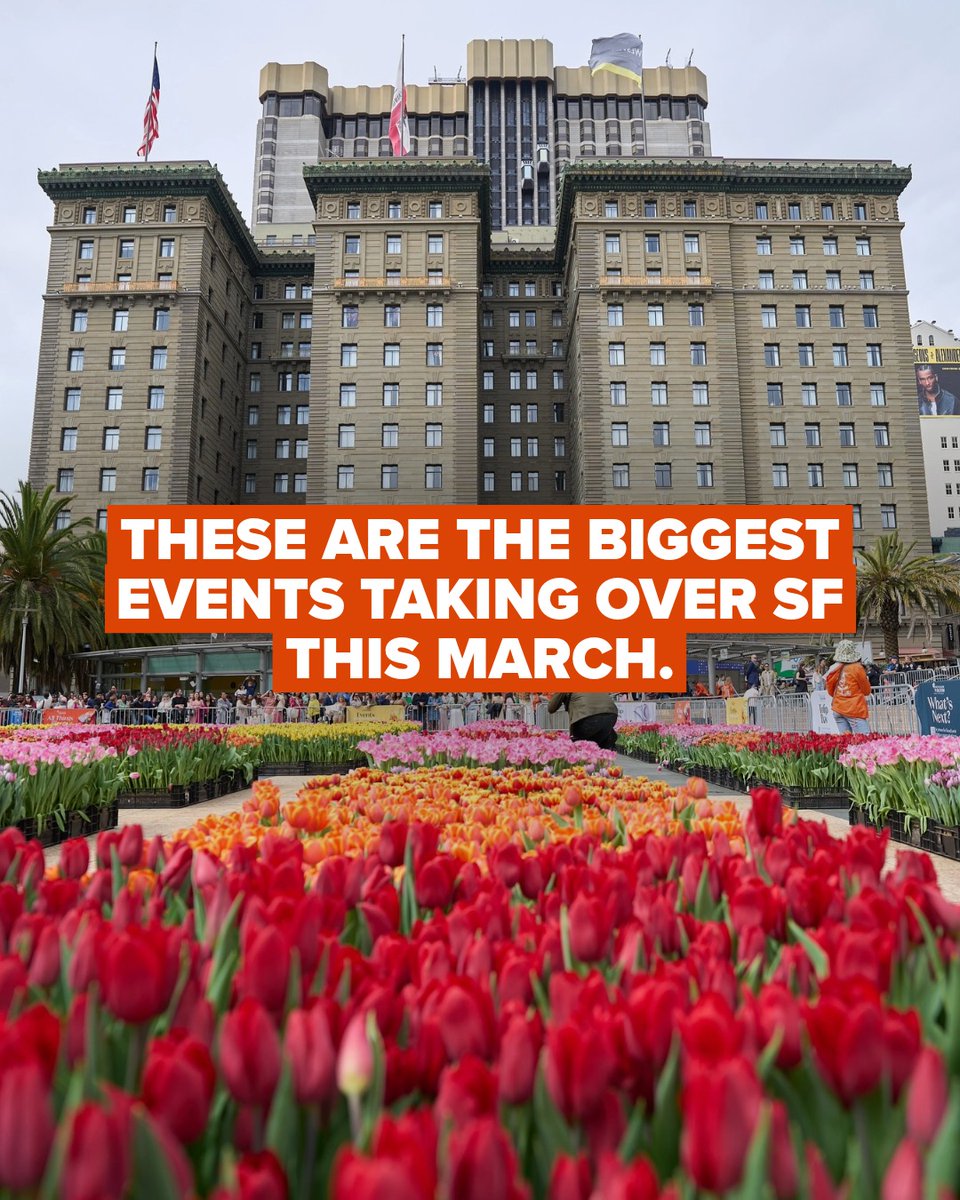 onlyinsf's tweet photo. Can you believe it’s almost March? Plan your trip around the city’s best events with our official guide.

Tap the link now to explore San Francisco’s top March happenings and start planning your visit.
👉 https://t.co/2CVxH0i6eM https://t.co/USR7kDTfhp