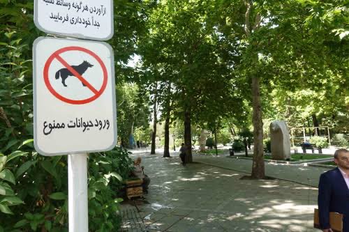 日本全国で、犬を散歩中の日本人の高齢者の女性や日本の女性がイスラム系の外国人に殺Oされたり、暴行を受けたりしています。

理由はイスラム教で犬は禁止だからです。

これからは夜や夕方の犬の1人での散歩は