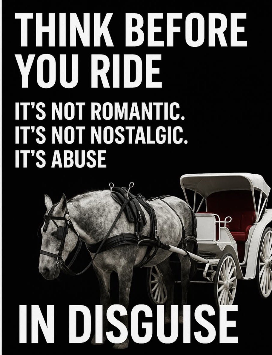 PROTECT ALL WILDLIFE tweet media