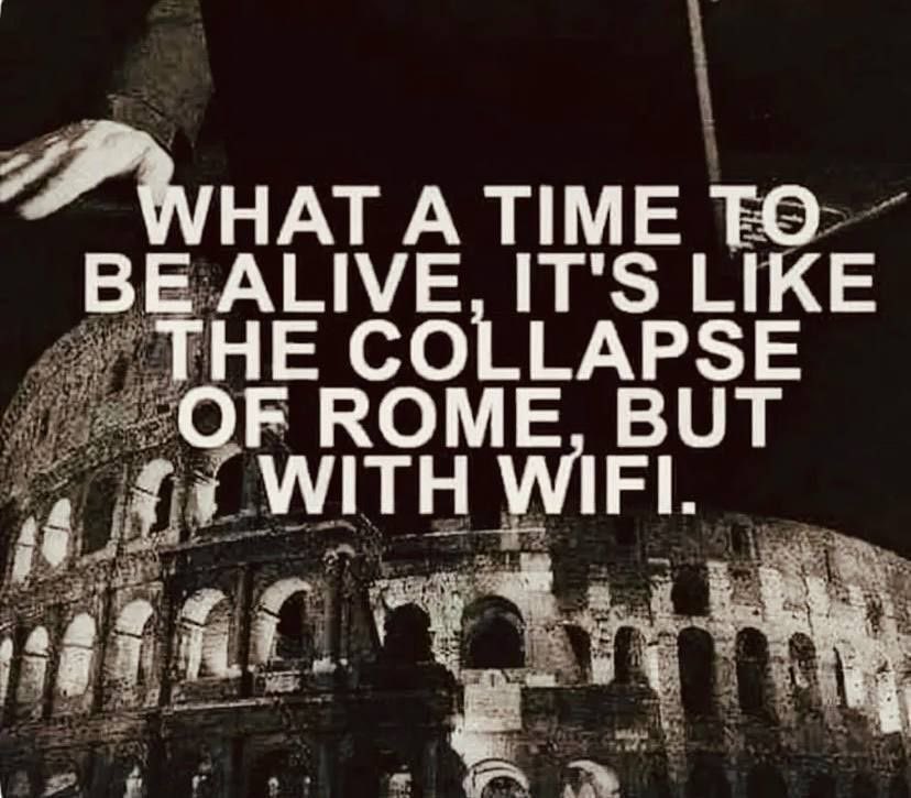 Zé Gato 🇵🇹🐍 tweet media