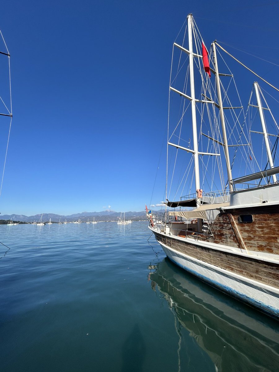 Recep Porsuk 🦁 tweet media