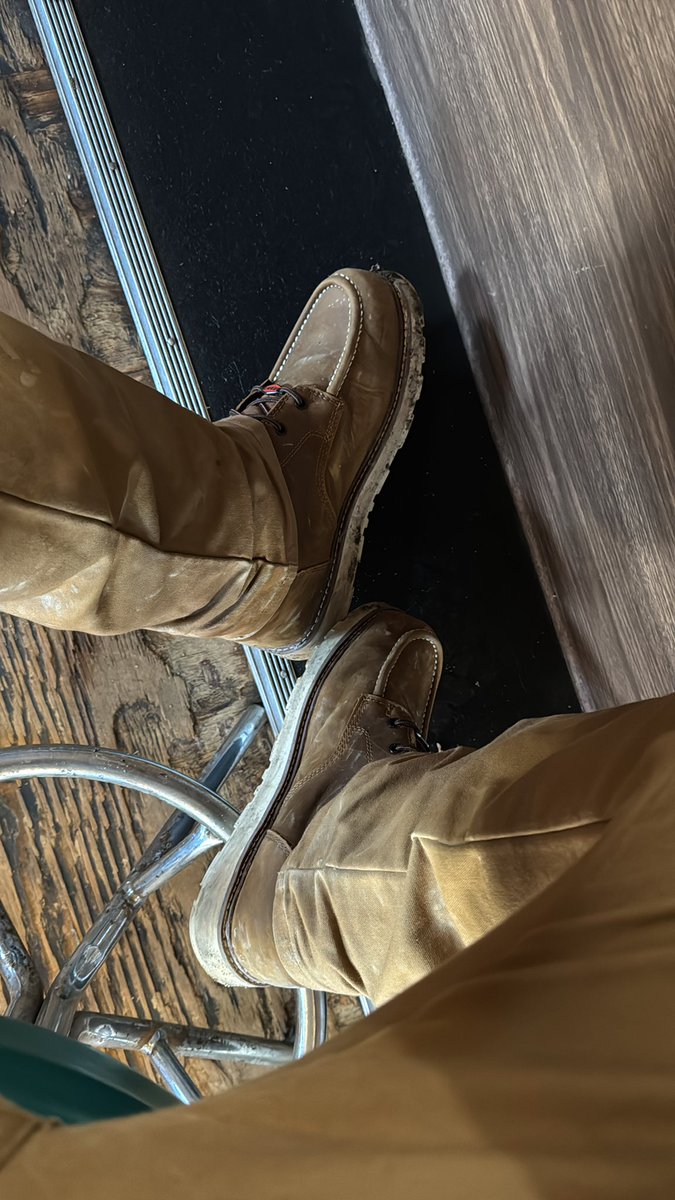 Master Ted tweet media