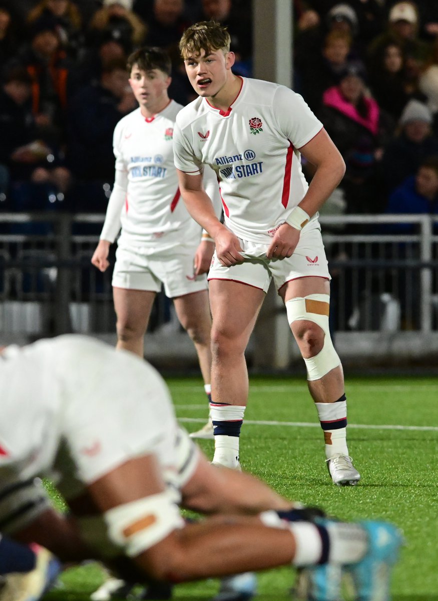 Bristol Bears 🐻 tweet media