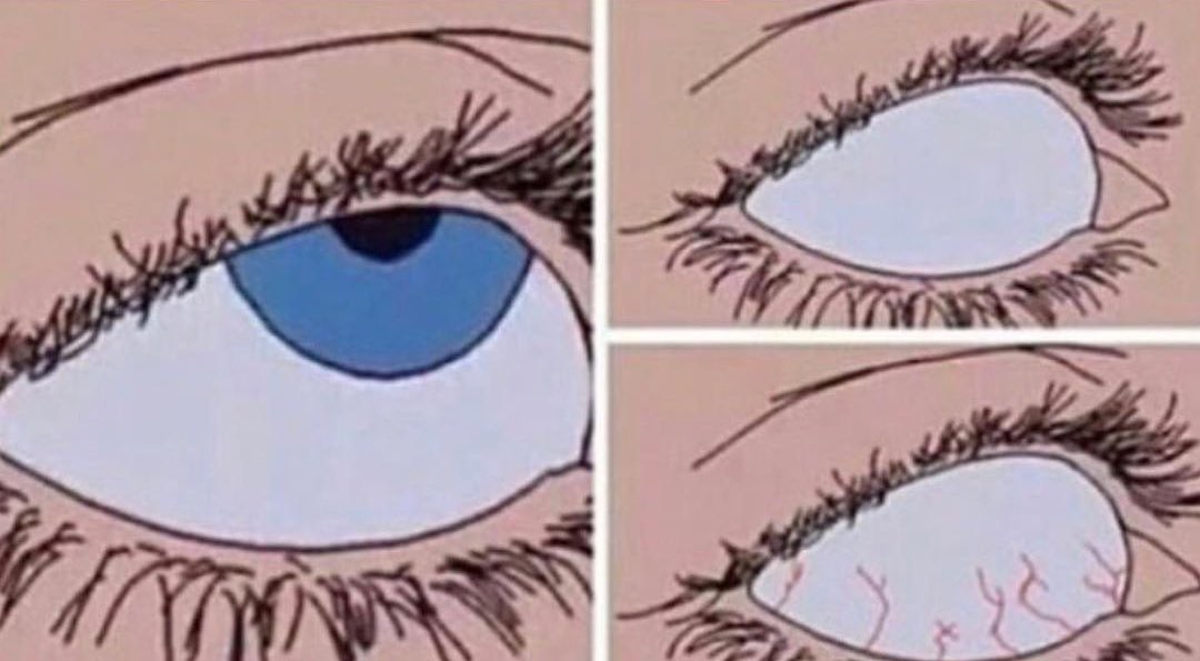 Caт Bee 🪶 tweet media