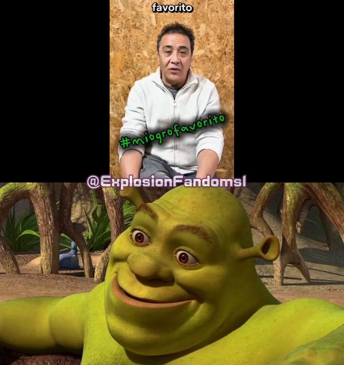 El actor de doblaje, Alfonso Obregón, quien da voz a #Shrek en las primeras cintas de la saga ha solicitado a la comunidad latina su apoyo a través del #MiOgroFavorito para volver a formar parte de la franquicia.

¡Vamos Dreamworks, no se pide mucho!