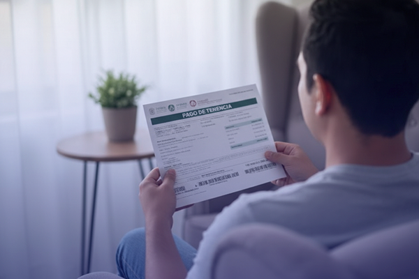 En Ahorra Seguros te explicamos qué es la tenencia, cómo hacer el trámite, los requisitos y cómo aprovechar el subsidio si pagas a tiempo. Descubre todo sobre la tenencia en Edomex 2026. #tramitesvehiculares #tenenciaestadodemexico #tenencia
ahorraseguros.mx/seguros-de-aut…