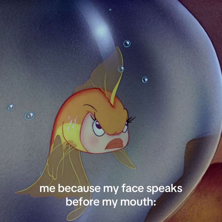 ˚ʚ♡ɞ˚ (@lovelycutedaily) on Twitter photo 