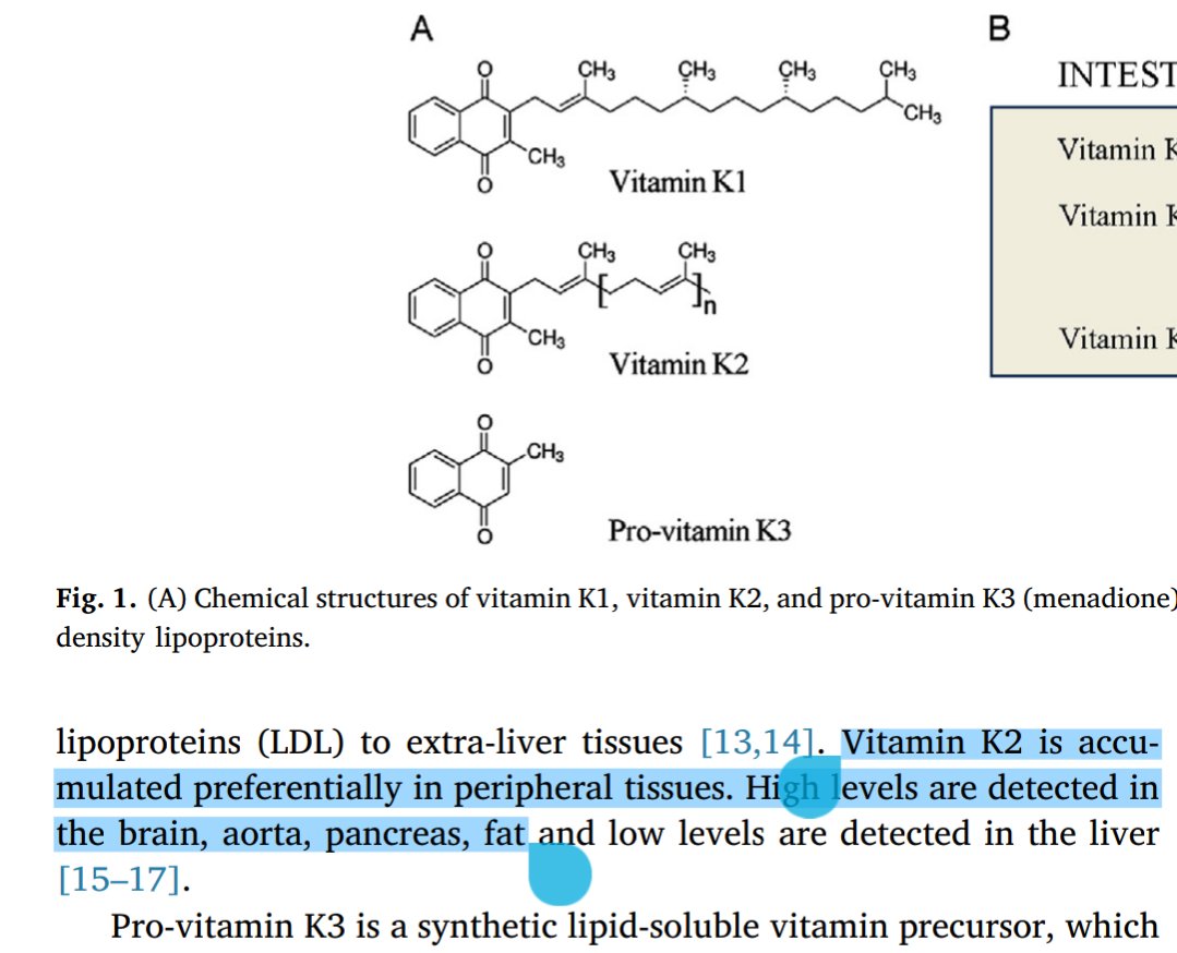 Drebel00 tweet media