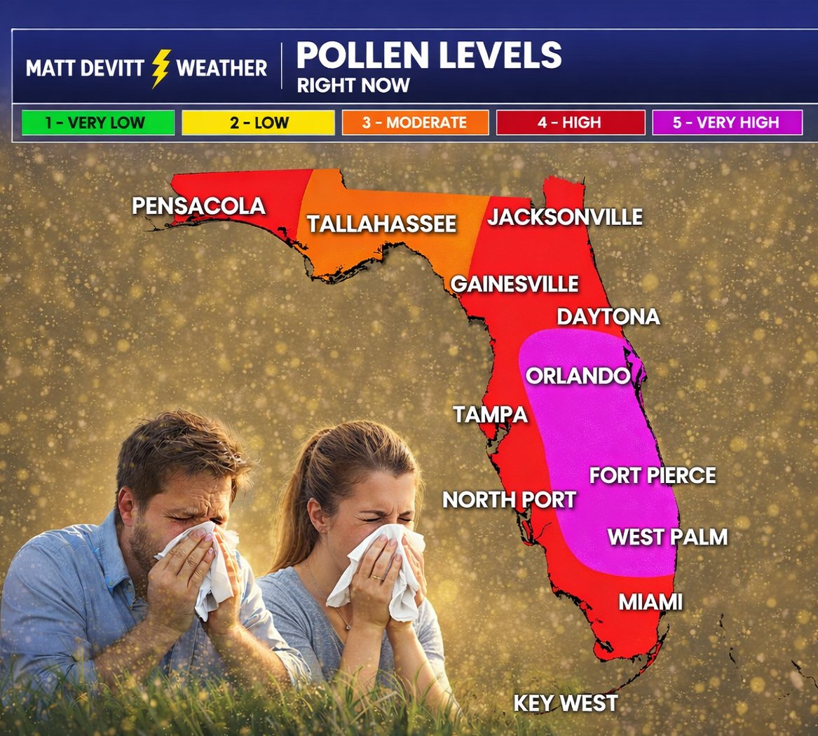 HEADS UP! 🤧 Pollen levels continue to increase across Florida, with high and even  very high levels. If you've been sniffling and sneezing recently, that's  the reason why. Grab those tissues! #Florida